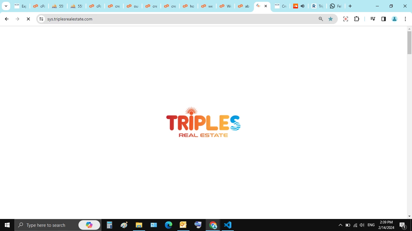 Egypt's Energy Sector